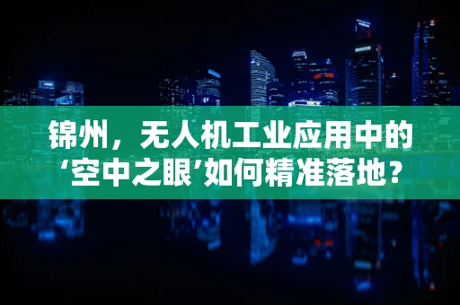 锦州，无人机工业应用中的‘空中之眼’如何精准落地？