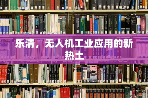 乐清，无人机工业应用的新热土
