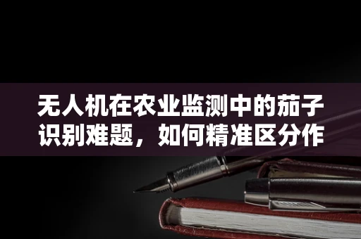 无人机在农业监测中的茄子识别难题，如何精准区分作物与杂草？