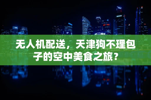 无人机配送，天津狗不理包子的空中美食之旅？