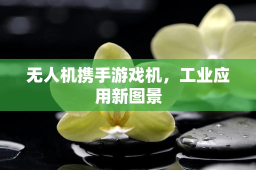 无人机携手游戏机，工业应用新图景