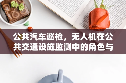 公共汽车巡检，无人机在公共交通设施监测中的角色与挑战