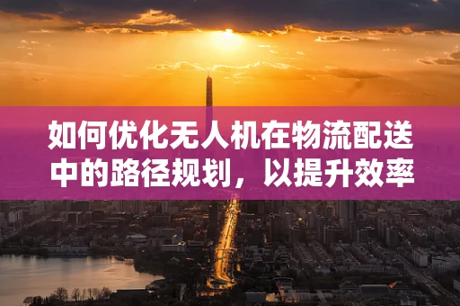 如何优化无人机在物流配送中的路径规划，以提升效率并降低成本？