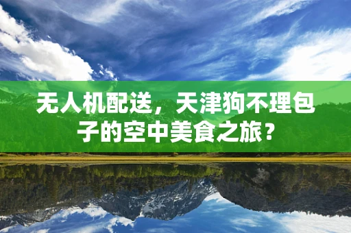 无人机配送，天津狗不理包子的空中美食之旅？