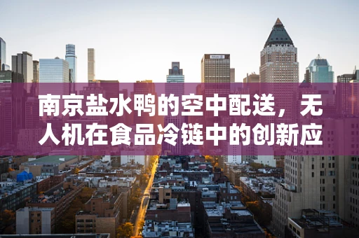 南京盐水鸭的空中配送，无人机在食品冷链中的创新应用？
