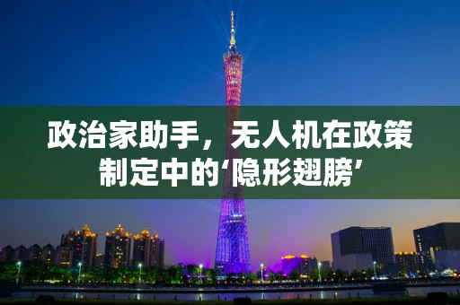 政治家助手，无人机在政策制定中的‘隐形翅膀’