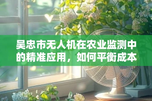 吴忠市无人机在农业监测中的精准应用，如何平衡成本与效益？