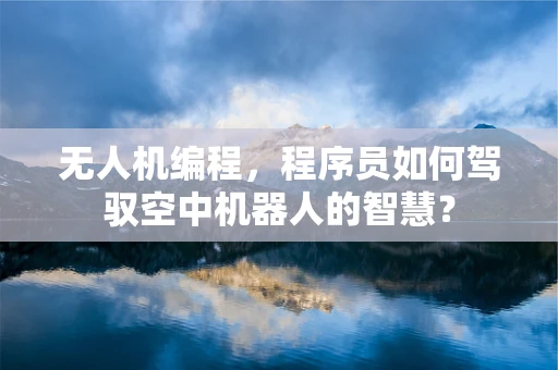 无人机编程，程序员如何驾驭空中机器人的智慧？