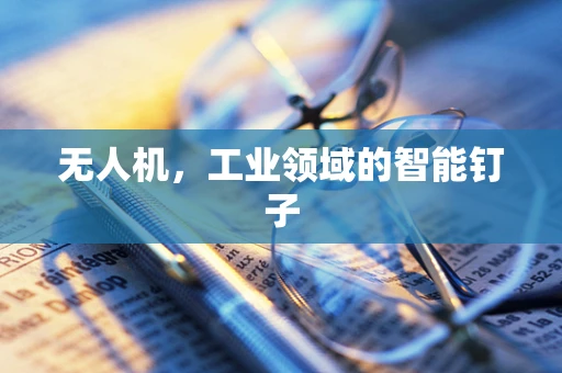 无人机，工业领域的智能钉子
