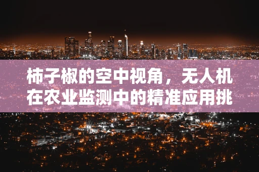 柿子椒的空中视角，无人机在农业监测中的精准应用挑战？