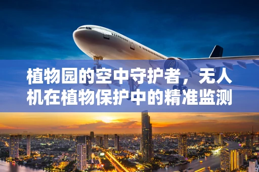 植物园的空中守护者，无人机在植物保护中的精准监测挑战