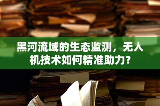 黑河流域的生态监测，无人机技术如何精准助力？