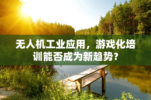 无人机工业应用，游戏化培训能否成为新趋势？