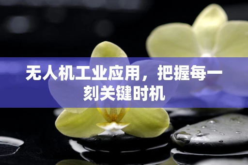 无人机工业应用，把握每一刻关键时机