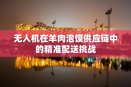 无人机在羊肉泡馍供应链中的精准配送挑战