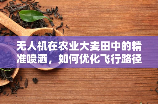 无人机在农业大麦田中的精准喷洒，如何优化飞行路径以减少作物损伤？