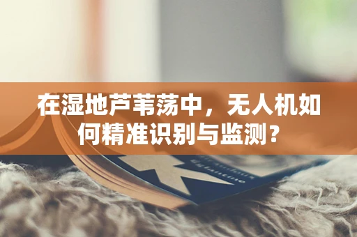 在湿地芦苇荡中，无人机如何精准识别与监测？