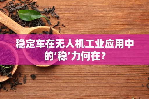 稳定车在无人机工业应用中的‘稳’力何在？
