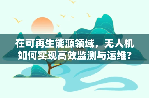 在可再生能源领域，无人机如何实现高效监测与运维？