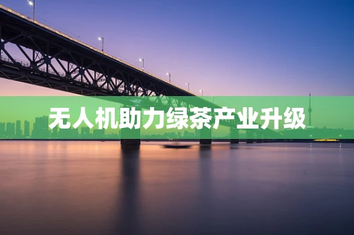 无人机助力绿茶产业升级