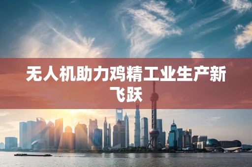 无人机助力鸡精工业生产新飞跃