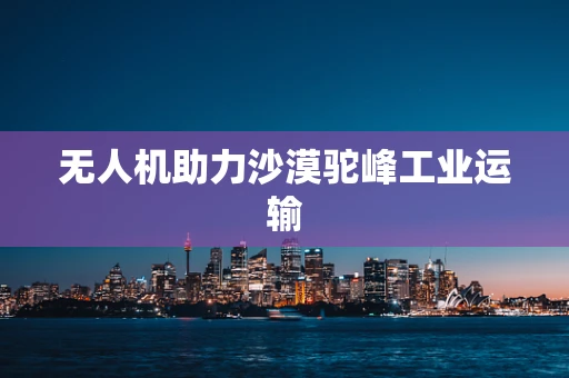 无人机助力沙漠驼峰工业运输