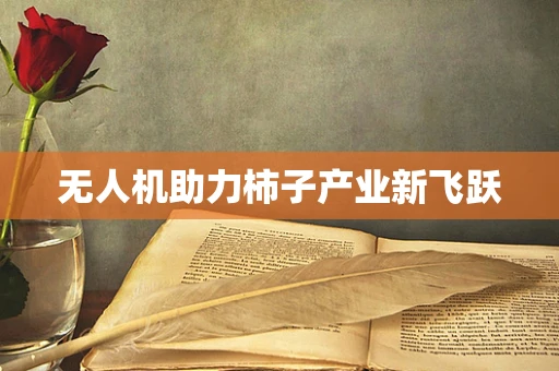 无人机助力柿子产业新飞跃