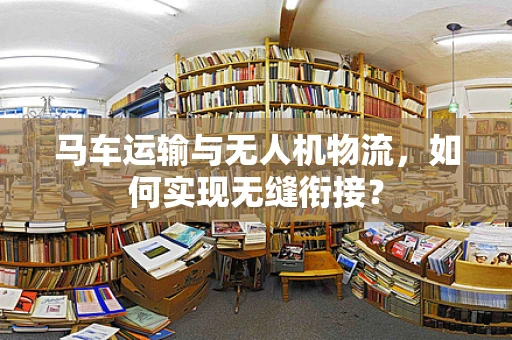 马车运输与无人机物流，如何实现无缝衔接？
