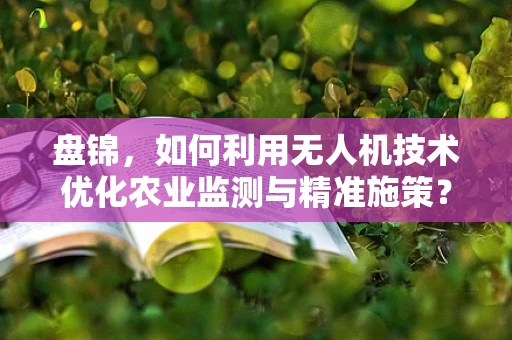 盘锦，如何利用无人机技术优化农业监测与精准施策？