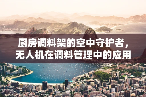 厨房调料架的空中守护者，无人机在调料管理中的应用挑战与解决方案