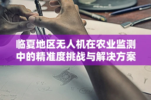 临夏地区无人机在农业监测中的精准度挑战与解决方案