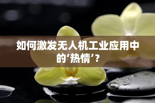 如何激发无人机工业应用中的‘热情’？