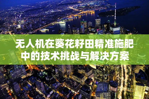无人机在葵花籽田精准施肥中的技术挑战与解决方案