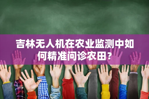 吉林无人机在农业监测中如何精准问诊农田？