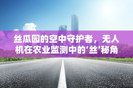 丝瓜园的空中守护者，无人机在农业监测中的‘丝’秘角色