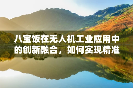 八宝饭在无人机工业应用中的创新融合，如何实现精准配送的甜蜜挑战？