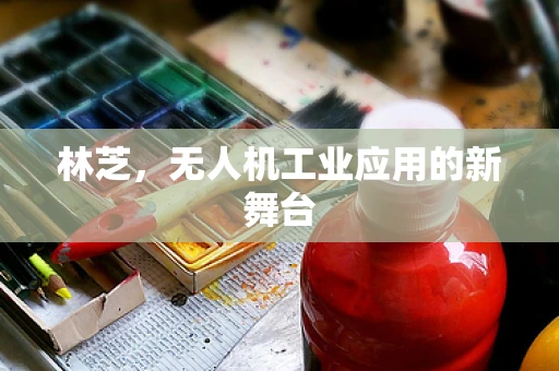 林芝，无人机工业应用的新舞台
