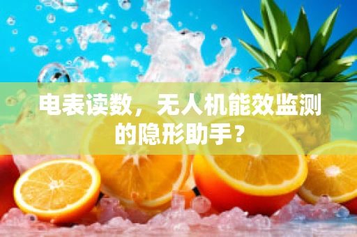 电表读数，无人机能效监测的隐形助手？