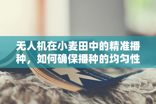 无人机在小麦田中的精准播种，如何确保播种的均匀性与效率？