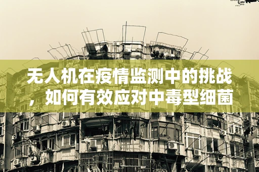 无人机在疫情监测中的挑战，如何有效应对中毒型细菌性痢疾的快速检测？