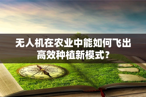 无人机在农业中能如何飞出高效种植新模式？