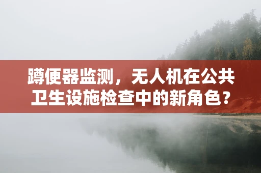 蹲便器监测，无人机在公共卫生设施检查中的新角色？