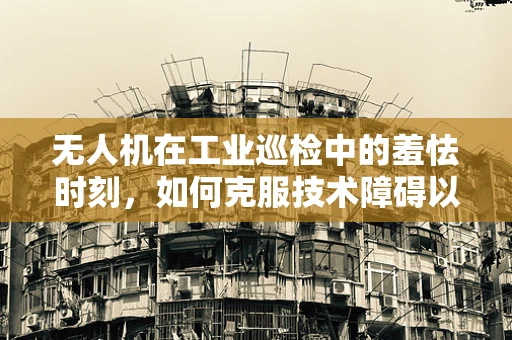 无人机在工业巡检中的羞怯时刻，如何克服技术障碍以实现高效作业？