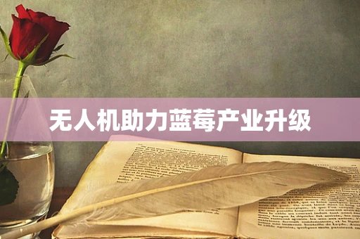 无人机助力蓝莓产业升级