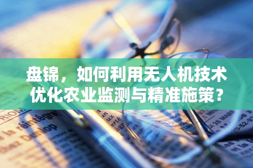 盘锦，如何利用无人机技术优化农业监测与精准施策？