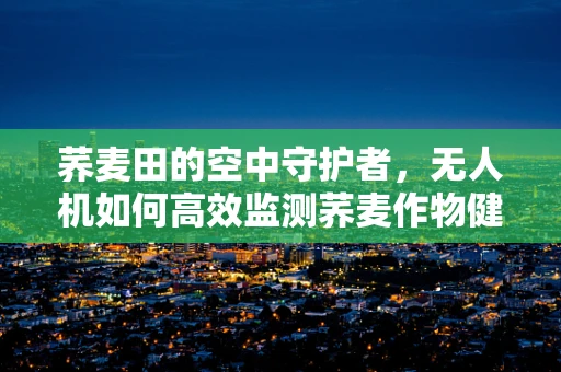 荞麦田的空中守护者，无人机如何高效监测荞麦作物健康？