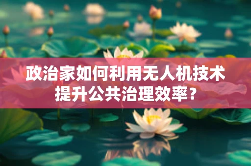政治家如何利用无人机技术提升公共治理效率？