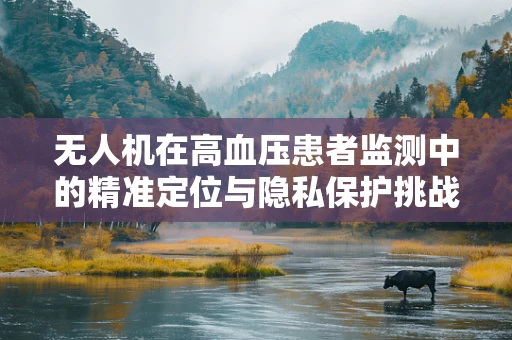 无人机在高血压患者监测中的精准定位与隐私保护挑战