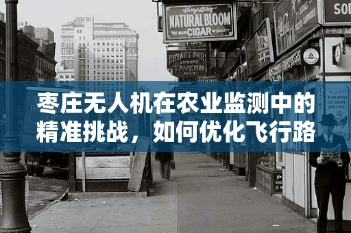 枣庄无人机在农业监测中的精准挑战，如何优化飞行路径以提升监测效率？
