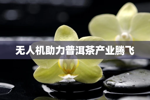 无人机助力普洱茶产业腾飞